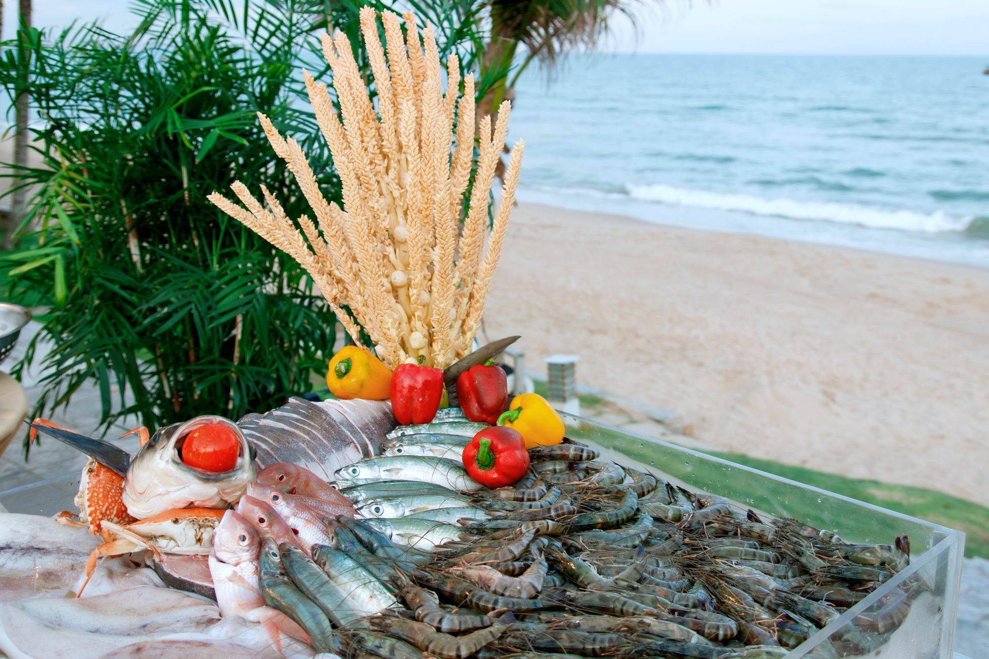 Villa Del Sol Beach Resort & Spa Phan Thiet Exterior foto